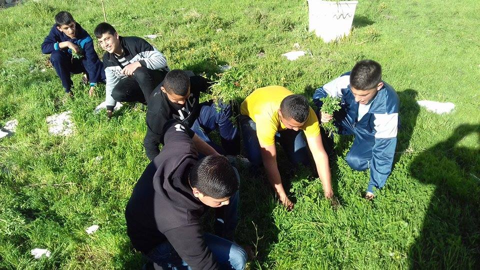 تنظيف حديقة المدرسة